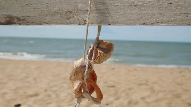 "Сады у моря", ТЕМРЮК, июнь 2023 смотреть онлайн