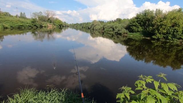 Narval - весомый ли Argument?