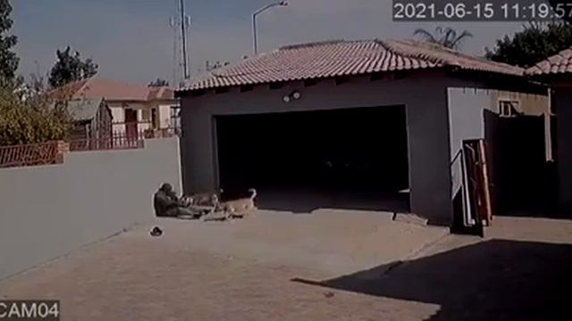 Вор пытается проникнуть в чужой дом смотреть онлайн