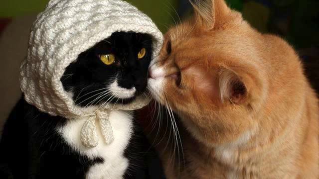 Вот это любовь! Потрясающая! Душа полетела! смотреть онлайн