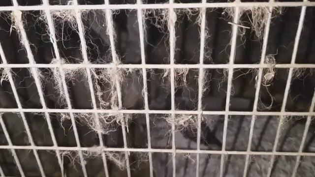 Клетки для Кроликов. Сухарики для кроликов. смотреть онлайн