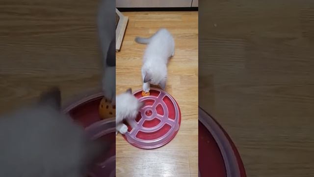 19 мая 2020 г. смотреть онлайн