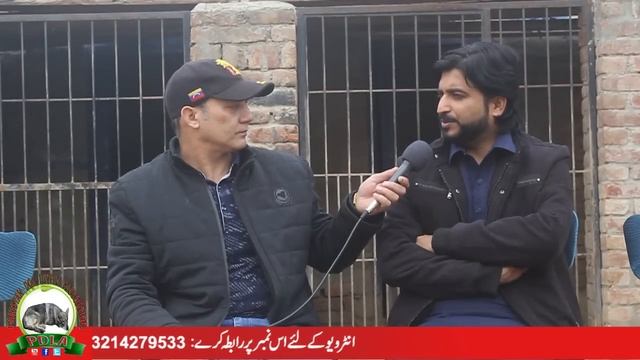 Bull Dogs Of Qasim Javaid Sandela From Memo Wali Part 4 Watch In HD Urdu/Hindi смотреть онлайн