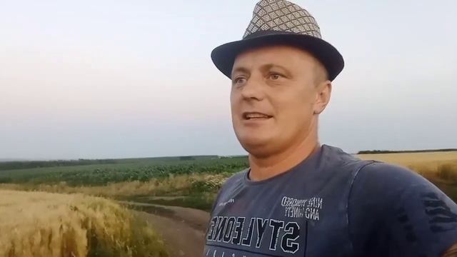 Цветёт Подсолнух. пригород Харькова. смотреть онлайн