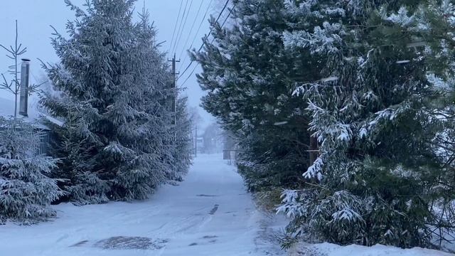 Едем на север: Торжок, Великий Новгород, озеро Ильмень смотреть онлайн