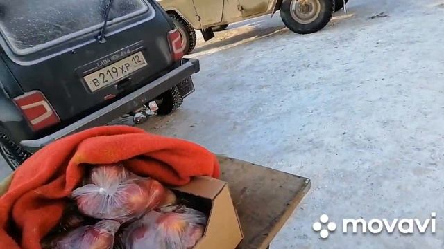 Мама Двоечника на телевидении у Андрея Малахова.Лайфхаки на ТВ Самвела Адамян,мама и Надя?⁉️ смотреть онлайн