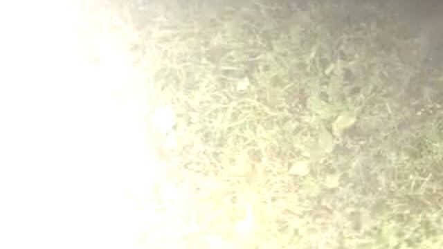вопрос смотреть онлайн