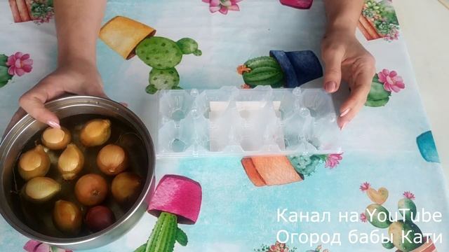 Зеленый лук зимой на окне без земли! Огород на подоконнике зимой!Зелень на подоконнике! смотреть онлайн