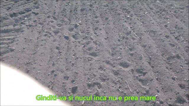 Lucruri interesante!!! Parametrii reali ai sistemului radicular juglans regia. Martie 2020 смотреть онлайн