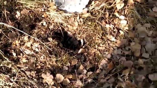 Коп на пустыре смотреть онлайн