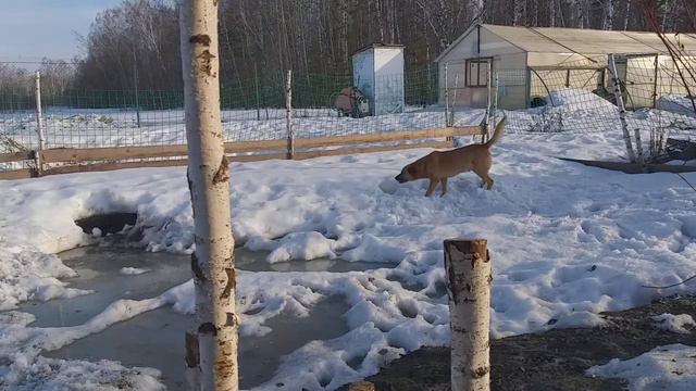 Шеф,все пропало!🤣🤣🤣 смотреть онлайн