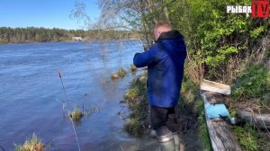 Рыбалка на Волхове. Ловля подлещиков на фидер. Рыбалка в Ленинградской области.