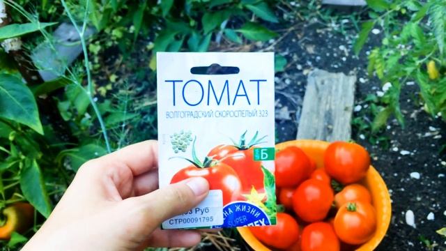 Лучшие сорта томатов смотреть онлайн