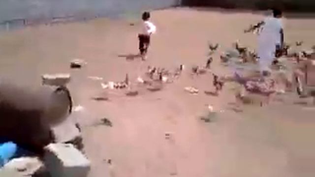 Не устаю смотреть смотреть онлайн