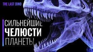 У кого Самый МОЩНЫЙ Укус за всю историю Планеты?