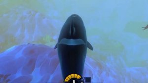 Кто кого ? Косатка против Кита Кашалота и Мегалодона.