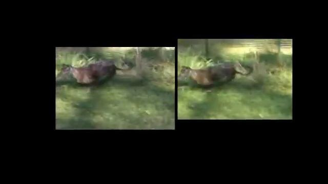 3D Real 3D Movie on YOUR Monitor NOW - PLUS SLO_MOTION смотреть онлайн