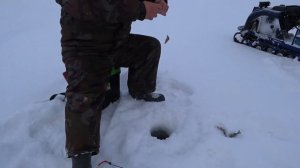 СИСТЕМА ВЫБРОСА СНЕГА ИЗ ГУСЯНКИ МОТОБУКСИРОВЩИКА!!!