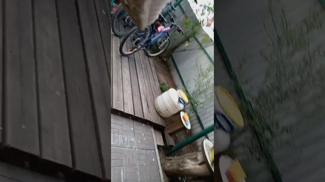 Алёна,дуремонда,зараза. называйте как хотите,но запомните одно - булочкой её называю только Я!!!!!! смотреть онлайн