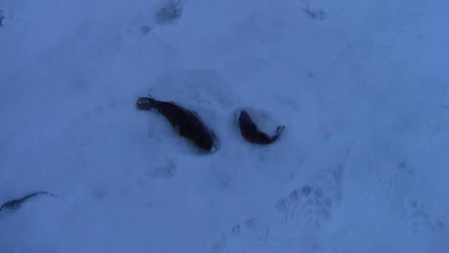 рыбалка на ратанов хорьково смотреть онлайн