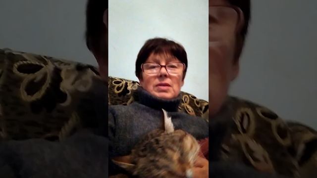 мы с кошкой Майкой добавим вам доброты смотреть онлайн