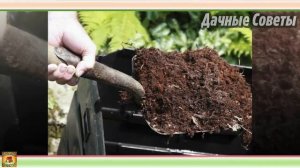 Очень ВАЖНЫЕ моменты Осенняя посадка КЛУБНИКИ по всем правилам Дачные советы и РЕКОМЕНДАЦИ