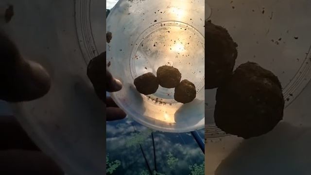 Утренняя рыбалка в теплый день.