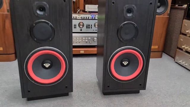 NGON CHẤT _ CERWIN WEGA RE-25 Đẹp Xuất xắc Luôn . Nghe Nhạc Hò Hát Thả Ga giá 11tr5 смотреть онлайн