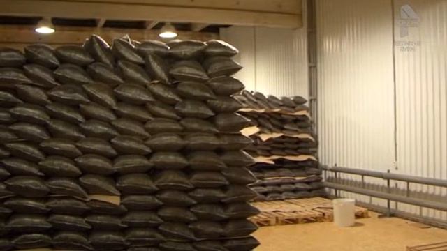 Встречи в рамках движения «СВОЕ» Пушкиногорский район смотреть онлайн
