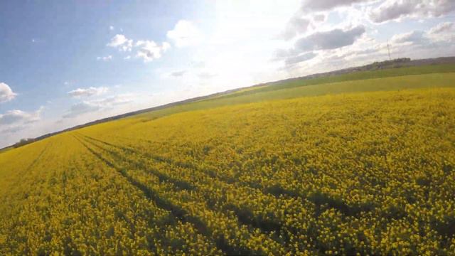 Весна!! Провода! (падение вверх ногами) смотреть онлайн