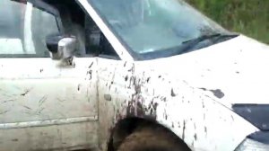 хонда одиссей по бездорожью.mp4