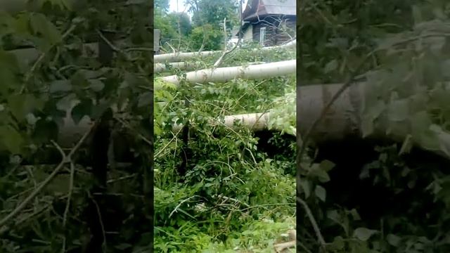 После урагана в Куеде смотреть онлайн