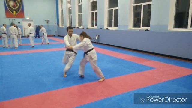 AIKIDO YOUSHINKAN | SEMINAR WITH TSYNEO ANDO !!! смотреть онлайн