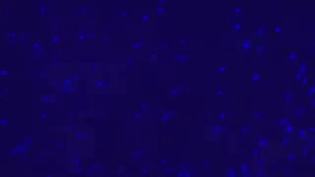 Intro ohne Text + Download LINK смотреть онлайн