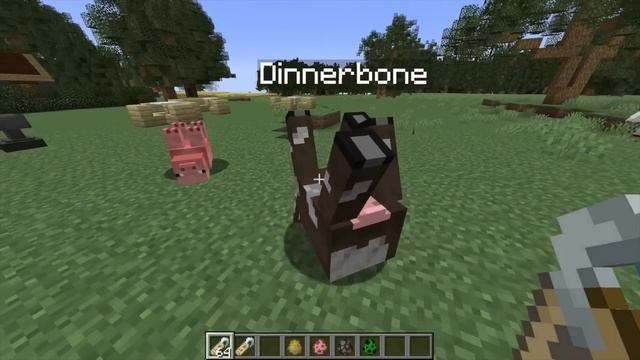 40 MINECRAFT UNTERSCHIEDE zwischen JAVA und BEDROCK! смотреть онлайн