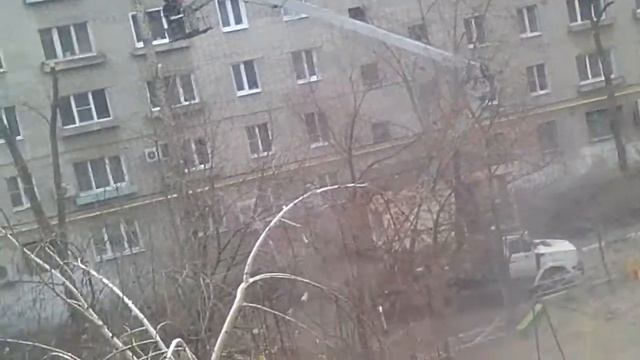 Работники пилят деревья во дворе все ! ! ! смотреть онлайн