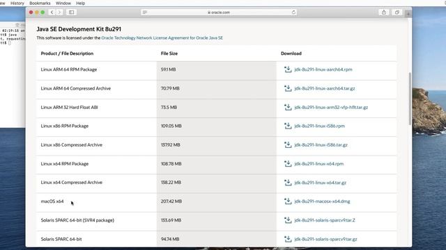 Installing the JDK on a Mac | Java for Beginners смотреть онлайн
