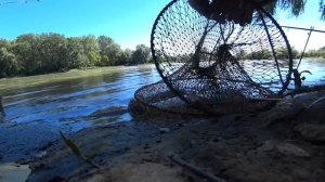 рыбалка на кубани рыбалка на реке кубань рыбалка краснодарский край река кубань рыбалка сомик