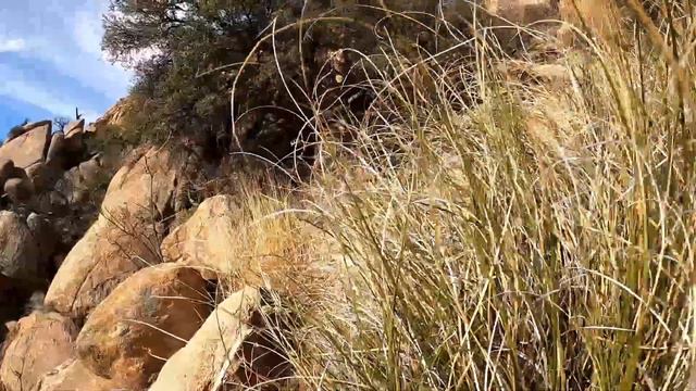 Exploring Arizona - Cochise Stronghold Day 1 смотреть онлайн