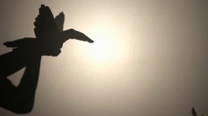 Удивительный театр теней