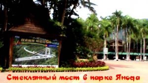 Стеклянный мост в парке Янода, о.Хайнань