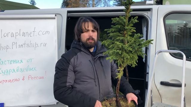 АЛЕКСАНДР КУДРЯВЦЕВ О ХВОЙНЫХ смотреть онлайн