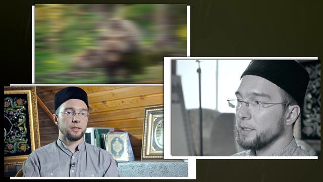 КОРОТКО О ЗАПРЕЩЕННОЙ ЕДЕ. ОТ СВИНИНЫ ДО СУШИ. ИМАН смотреть онлайн