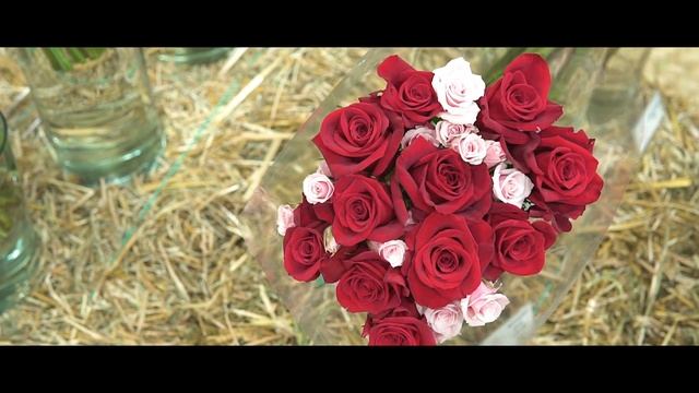 Royal Flowers Ecuador Bouquet Showroom смотреть онлайн