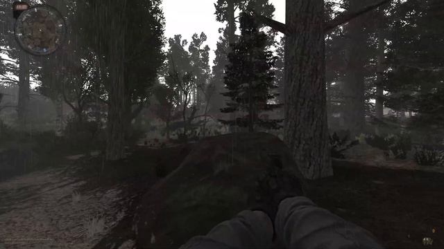 ПОДГОТОВКА К РЕЙДУ НА ЗАТОН | ПРОХОЖДЕНИЕ S.T.A.L.K.E.R. ANOMALY #2 смотреть онлайн