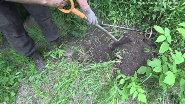 КРУГОМ ЗОЛОТО под корнями! Я БОЯЛСЯ говорить громко!!! смотреть онлайн
