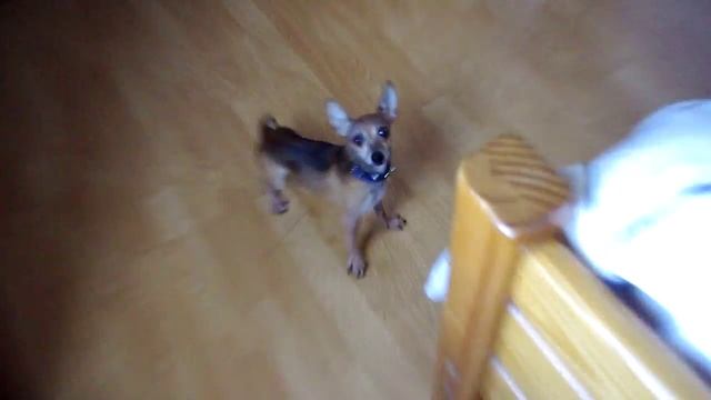 Pentax K-x Video Test #2 смотреть онлайн