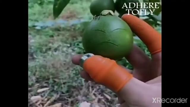 силиконовый нож палец смотреть онлайн