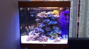 #Аквариум с тумбой Juwel Lido 200