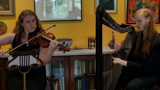 Electric Harp and Violin - Into My Arms (Nick Cave and the Bad Seeds cover) смотреть онлайн